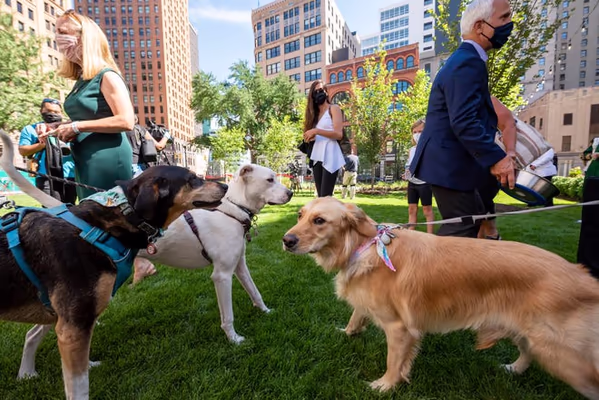 Detroit Dog Park